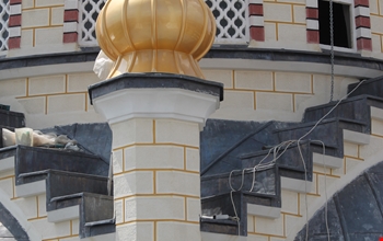 denge-kolonu-ve-alemleri-679d