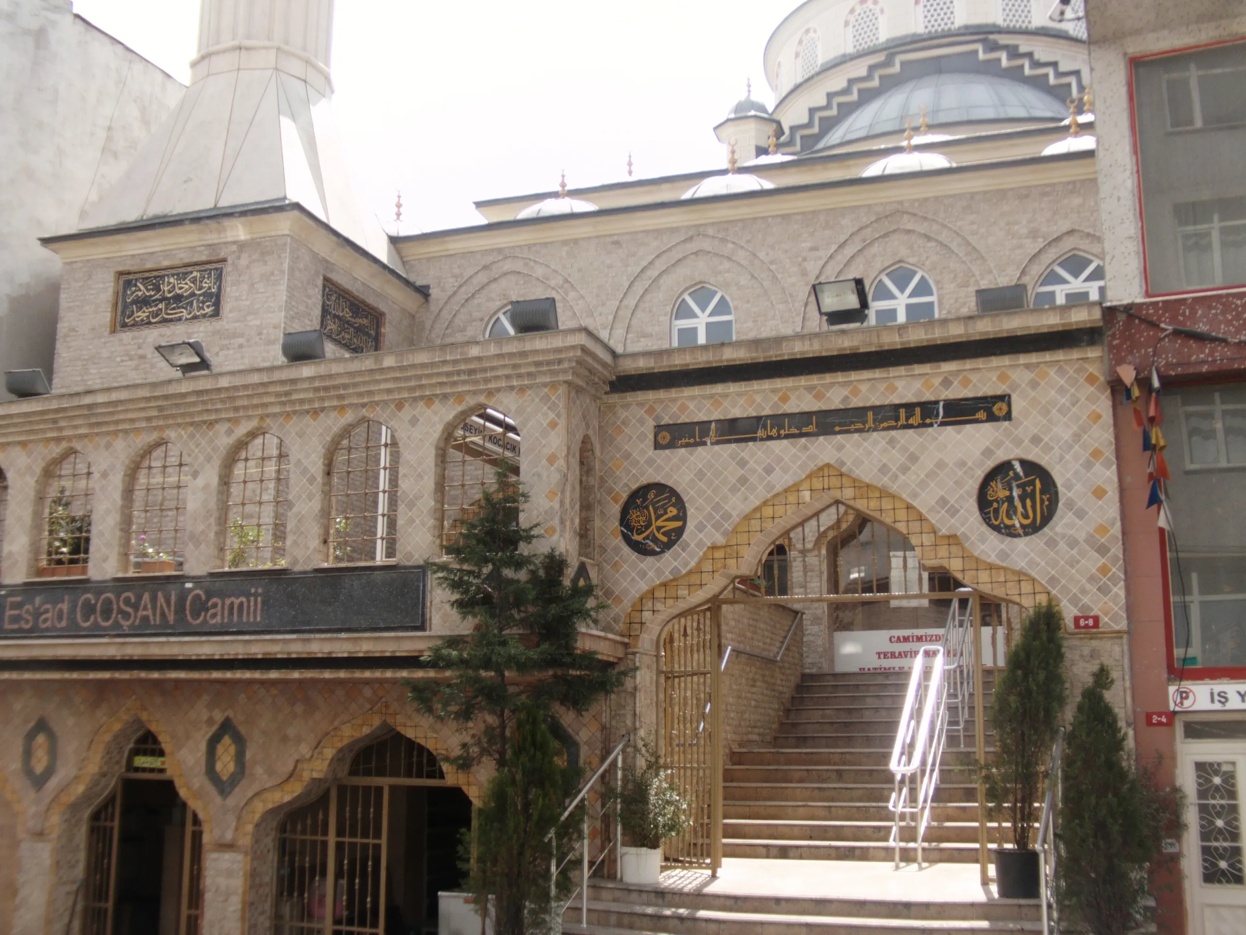 prof-dr-esat-cosan-cami-a401.webp