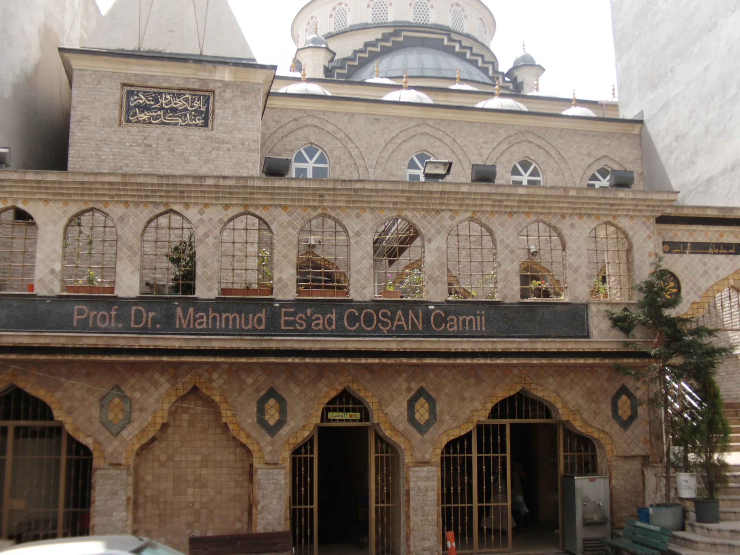 prof-dr-esat-cosan-cami-a442.webp