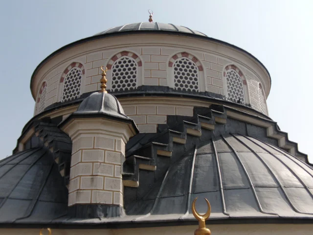 prof-dr-esat-cosan-cami-a483.webp