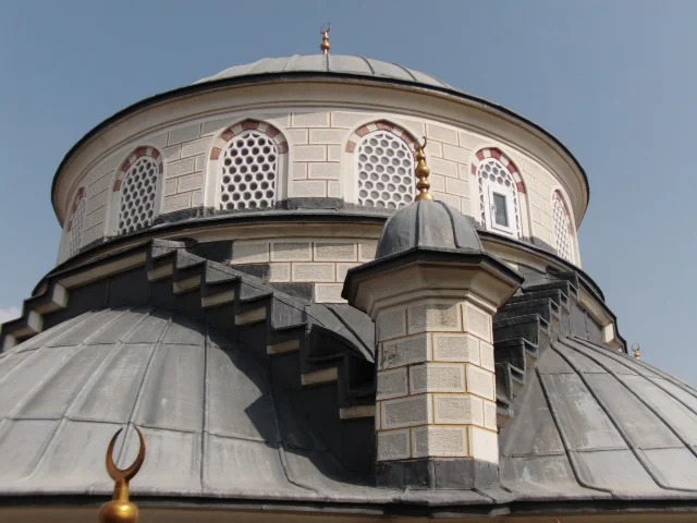prof-dr-esat-cosan-cami-a558.webp