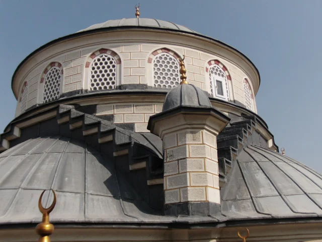 prof-dr-esat-cosan-cami-a668.webp