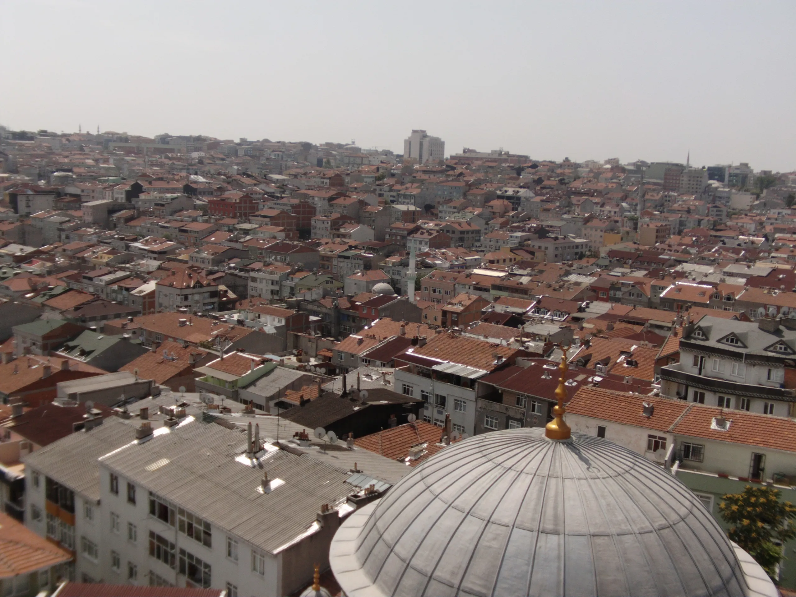 prof-dr-esat-cosan-cami-a682.webp