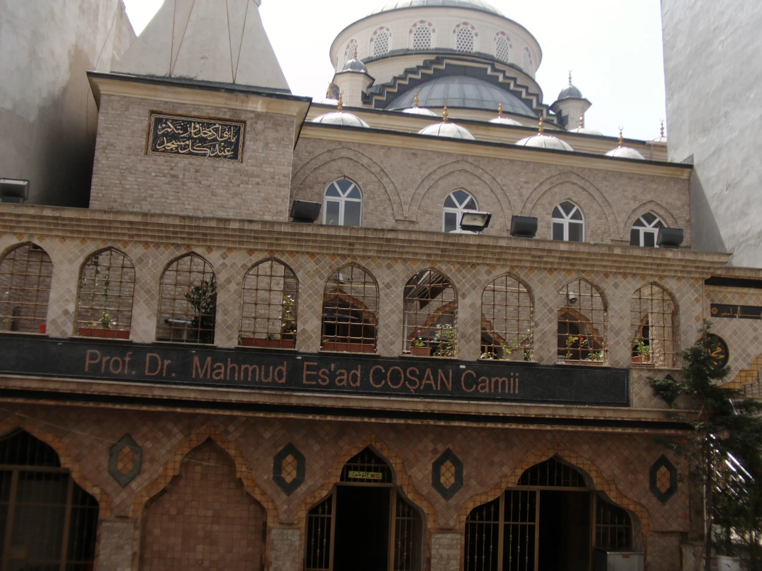 prof-dr-esat-cosan-cami-a825.webp