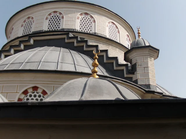 prof-dr-esat-cosan-cami-a859.webp