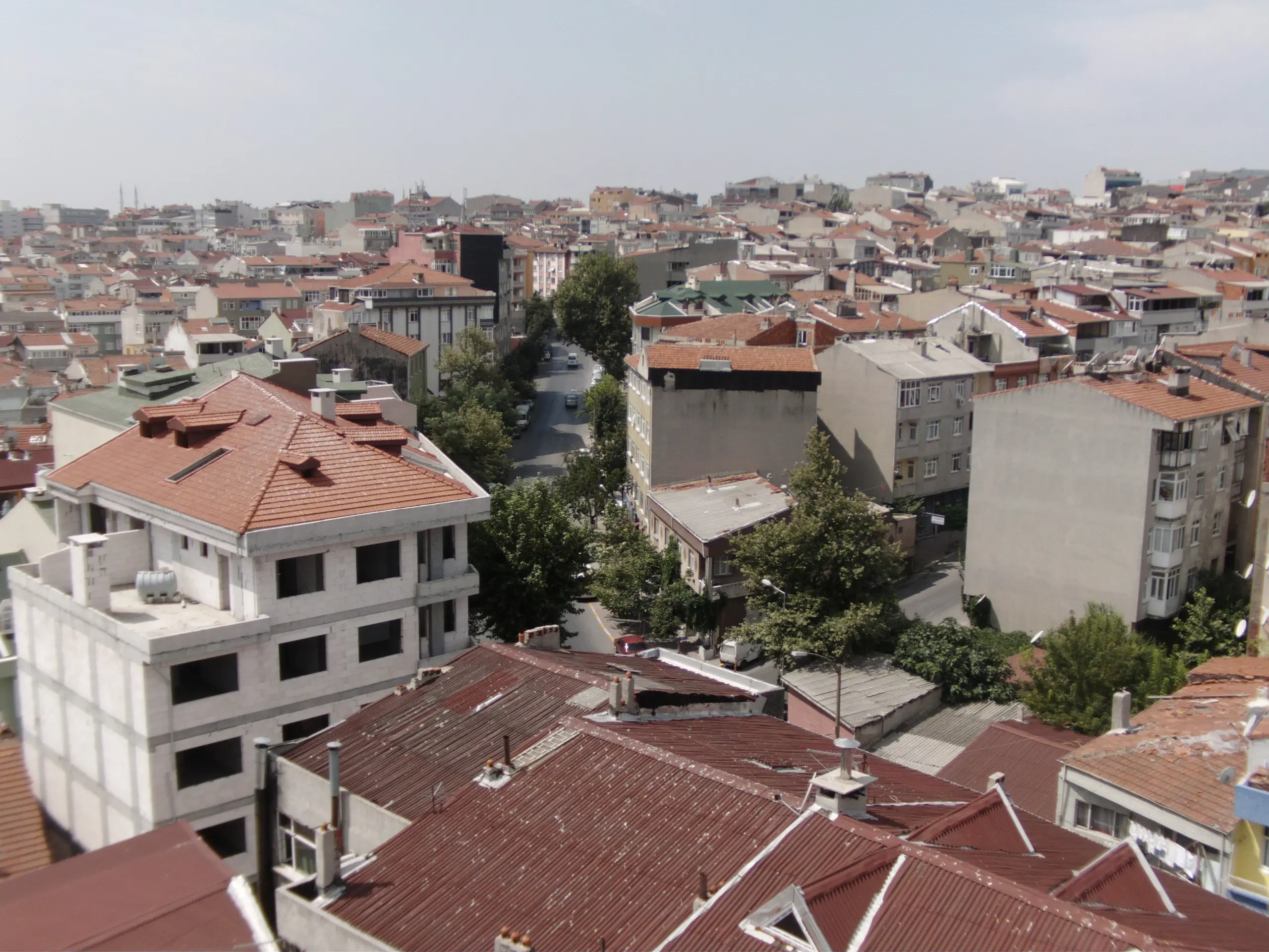 prof-dr-esat-cosan-cami-a992.webp